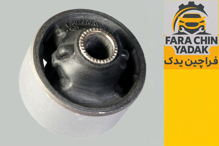 بوش بزرگ طبق آریزو ۵